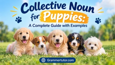 Collective Noun for Puppies: A Complete Guide with Examples