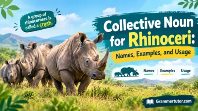 Collective Noun for Rhinoceri: Names, Examples, and Usage