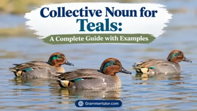 Collective Noun for Teals: A Complete Guide with Examples