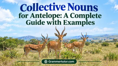 Collective Nouns for Antelope: A Complete Guide with Examples