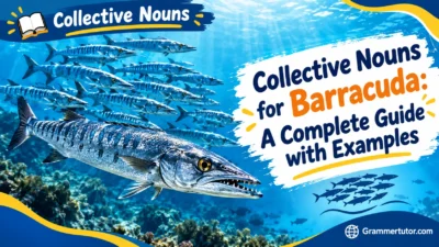 Collective Nouns for Barracuda: A Complete Guide with Examples