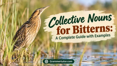 Collective Nouns for Bitterns: A Complete Guide with Examples