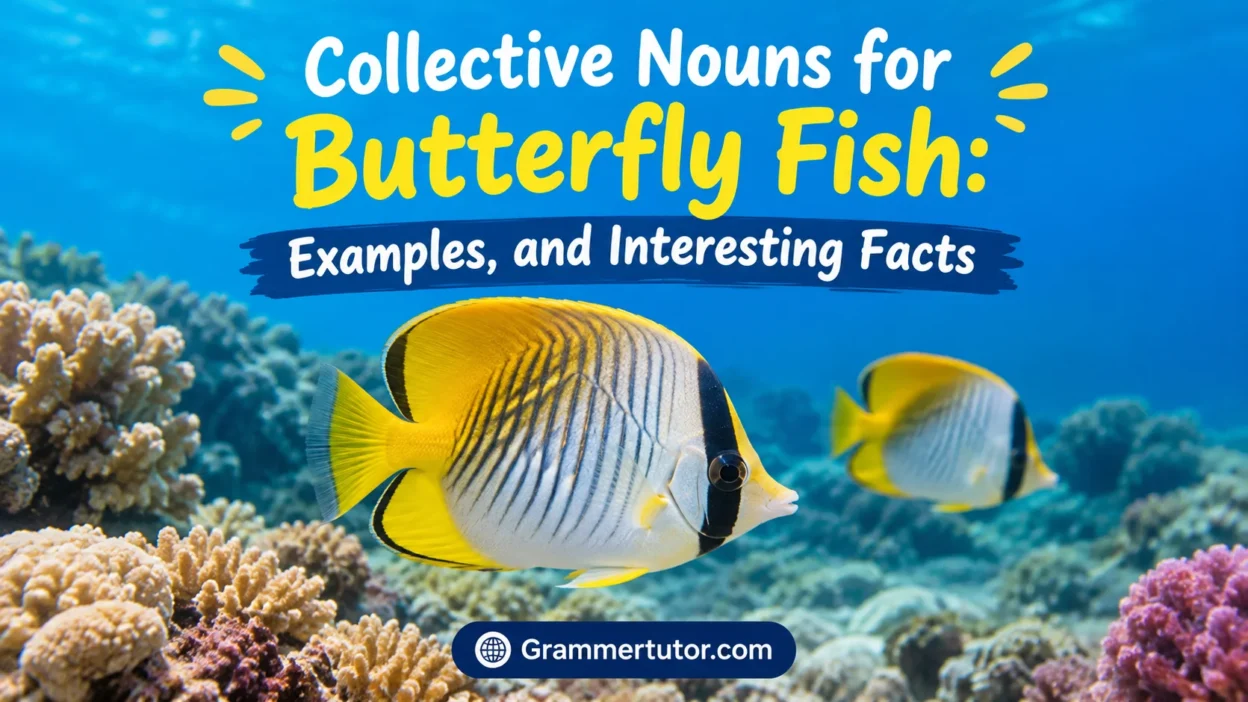 Collective Nouns for Butterfly Fish: Examples, and Interesting Facts