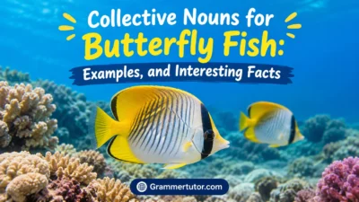Collective Nouns for Butterfly Fish: Examples, and Interesting Facts