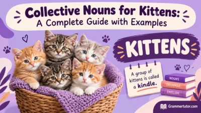 Collective Nouns for Kittens: A Complete Guide with Examples