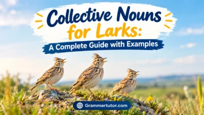Collective Nouns for Larks: A Complete Guide with Examples