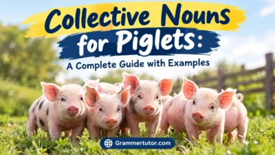 Collective Nouns for Piglets: A Complete Guide with Examples