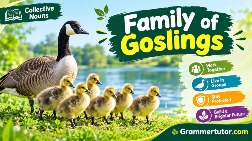 Family of Goslings