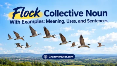Flock Collective Noun With Examples: Meaning, Uses, and Sentences